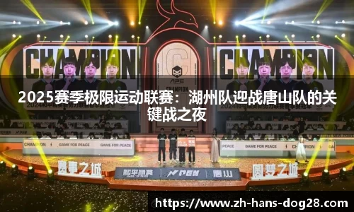 2025赛季极限运动联赛:湖州队迎战唐山队的关键战之夜