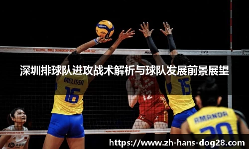 深圳排球队进攻战术解析与球队发展前景展望